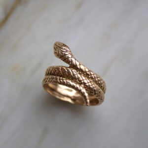 Anillo Serpente
